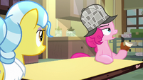 Pinkie Pie asking Dr. Fauna about Tank S7E23