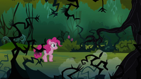 Pinkie walking in the Everfree Forest S3E03