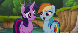 Rainbow Dash "we're in this together" MLPTM