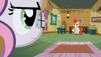 Sweetie Belle doesn't look too thrilled with the idea.