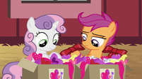 Sweetie and Scootaloo looking at decorations S8E10