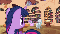 Twilight looking at Diamond Tiara and Silver Spoon S4E15