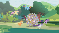 RD, AJ, Twilight, Rarity, and Fluttershy steer the parasprite ball.