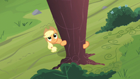 Applejack admiring work S3E8