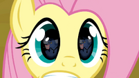 Fluttershy's eyes...