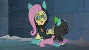 Fluttershy "he could learn a lot from you" S9E4