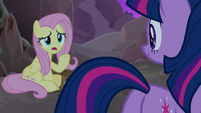 Fluttershy "what does it do?" S8E25