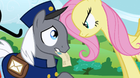 Fluttershy intimidating mail pony S2E19