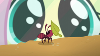 Fluttershy looking at an ant; ant walking with a leaf S5E19