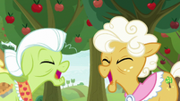Granny and Goldie having a playful laugh S9E10