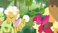 Granny and Goldie pass by AJ and Apple Bloom S9E10