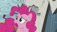 Pinkie "Or griffon scones!" S5E8