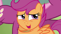 Scootaloo looking disgusted 2 S2E17