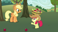 Apple Bloom "that is a lot better!" S7E9