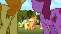 Apple family sad S02E15