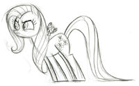 Fluttershy TheStare Sketch