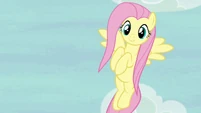 Fluttershy feeling more confident S6E18.png (665 KB)