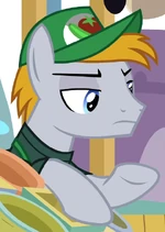 Fruit Seller ID S9E24