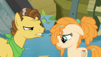 Grand Pear looking disapprovingly at Pear Butter S7E13