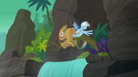 Quibble Pants spins around a tree branch S6E13