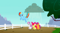 Rainbow Dash makes rain fall on the CMC S2E23