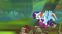 Rainbow Dash picking up Rarity S8E17