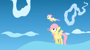 S01E23 Fluttershy na obozie lotniczym