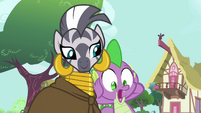 Spike sees Zecora give his jewel away S03E11