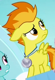 Spitfire filly ID S7E7