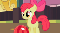 Apple Bloom looks at the pins S2E06