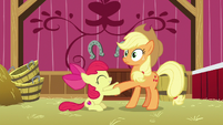 Apple Bloom shakes Applejack's hoof S9E10