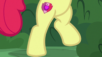 Apple Bloom standing on hind legs S8E12