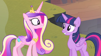 Cadance and Twilight smiling at each other S4E11