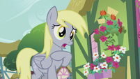Derpy "So there's no way you can do it?" S5E9