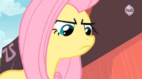 Fluttershy trying to be assertive S2E19