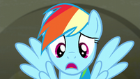 Rainbow Dash "I asked a lot of fabric questions" S6E9