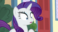 Rarity's eyes widen with surprise S9E19