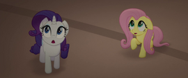 Rarity and Fluttershy looking at the sky MLPTM