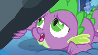 Spike looks for Thorax under a rock S6E16