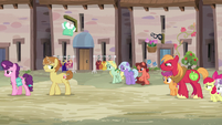 Sugar Belle and Feather walk away from Big Mac and CMCs S7E8