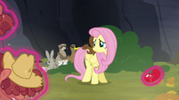 Animals encouraging Fluttershy S5E23