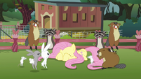 The animals jumping for joy in front of scared Fluttershy