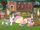 Animals surrounding a cowering Fluttershy S3E05.png