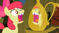 Apple Bloom watching to see her tooth grow back S2E6