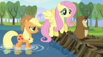 Applejack, Fluttershy, and one angry beaver S03E10