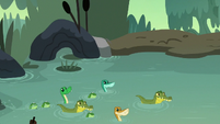 Bayou animals happily entering the water S7E25