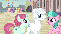 Double Diamond talking with two mares S5E2