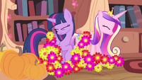 Flowers landing onto Twilight and Cadance S4E11