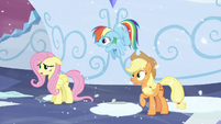 Fluttershy, Rainbow, and Applejack heard Shining Armor S6E2