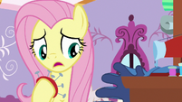 Fluttershy "you should let Spike know" S9E19